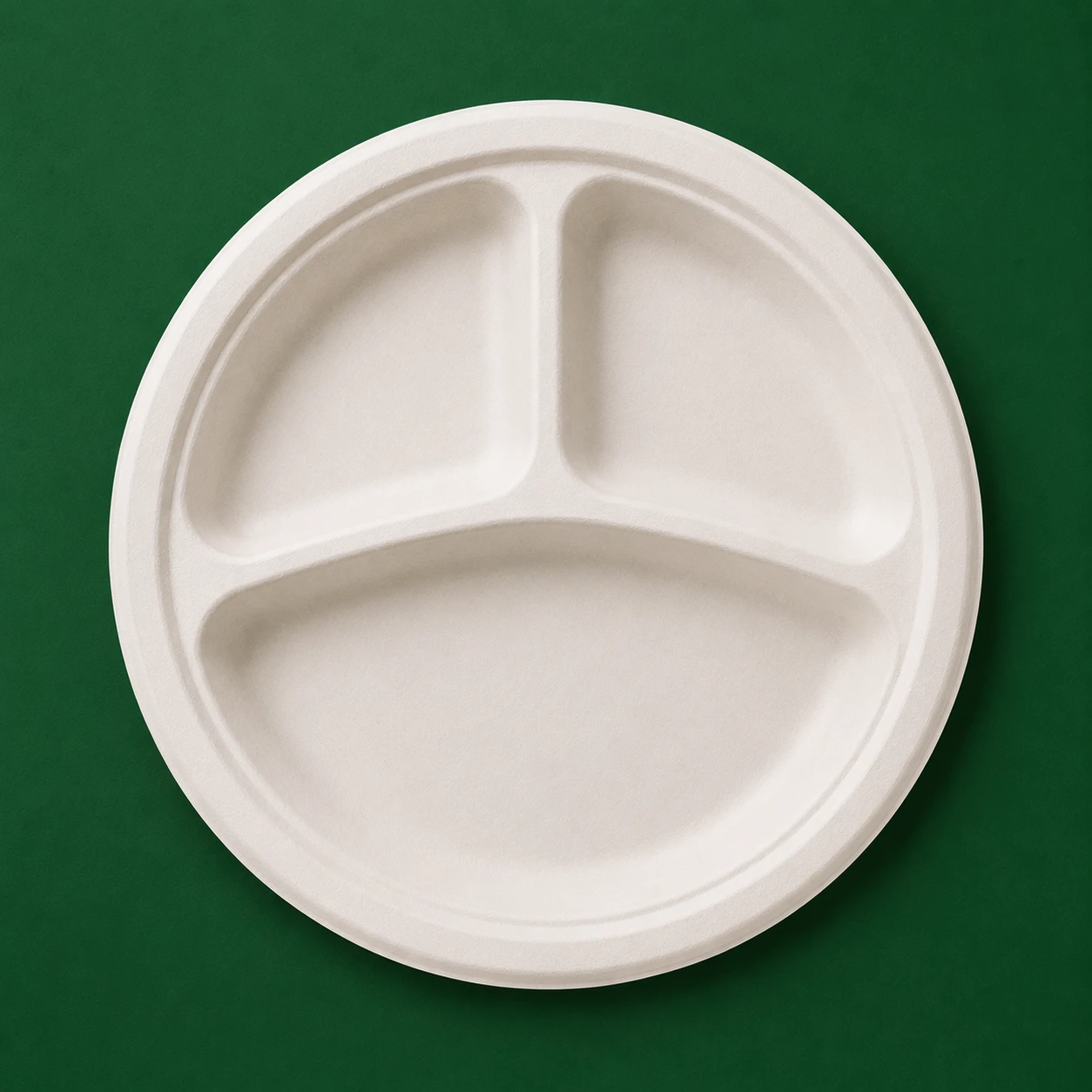 10 Inch 3 Compartment Round Plate