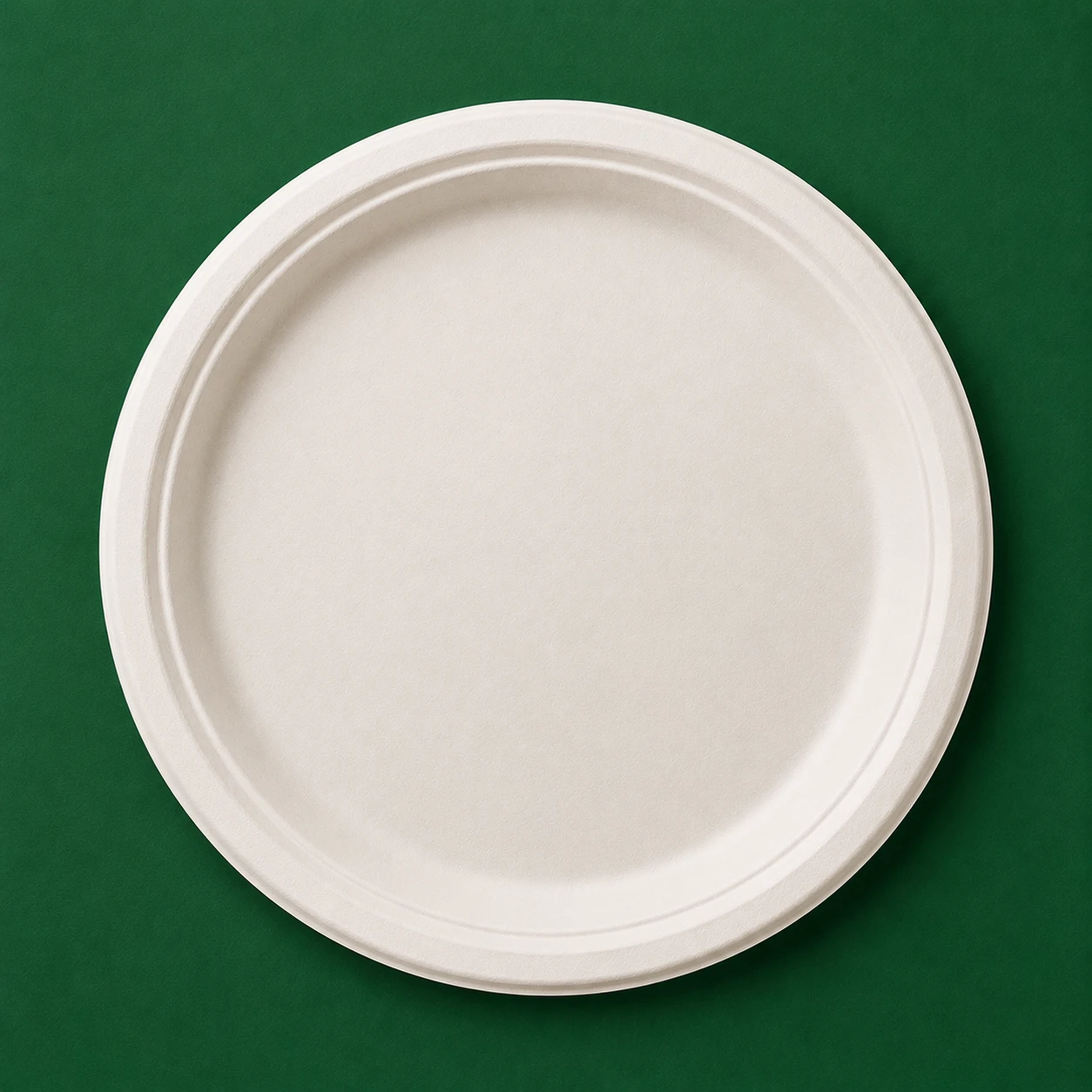 10 Inch Plain Round Plate