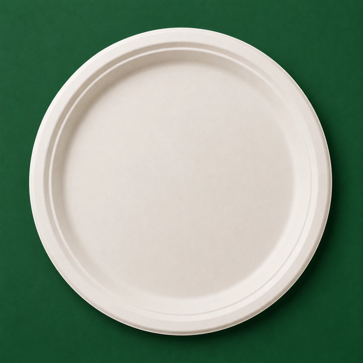 11 Inch Plain Round Plate