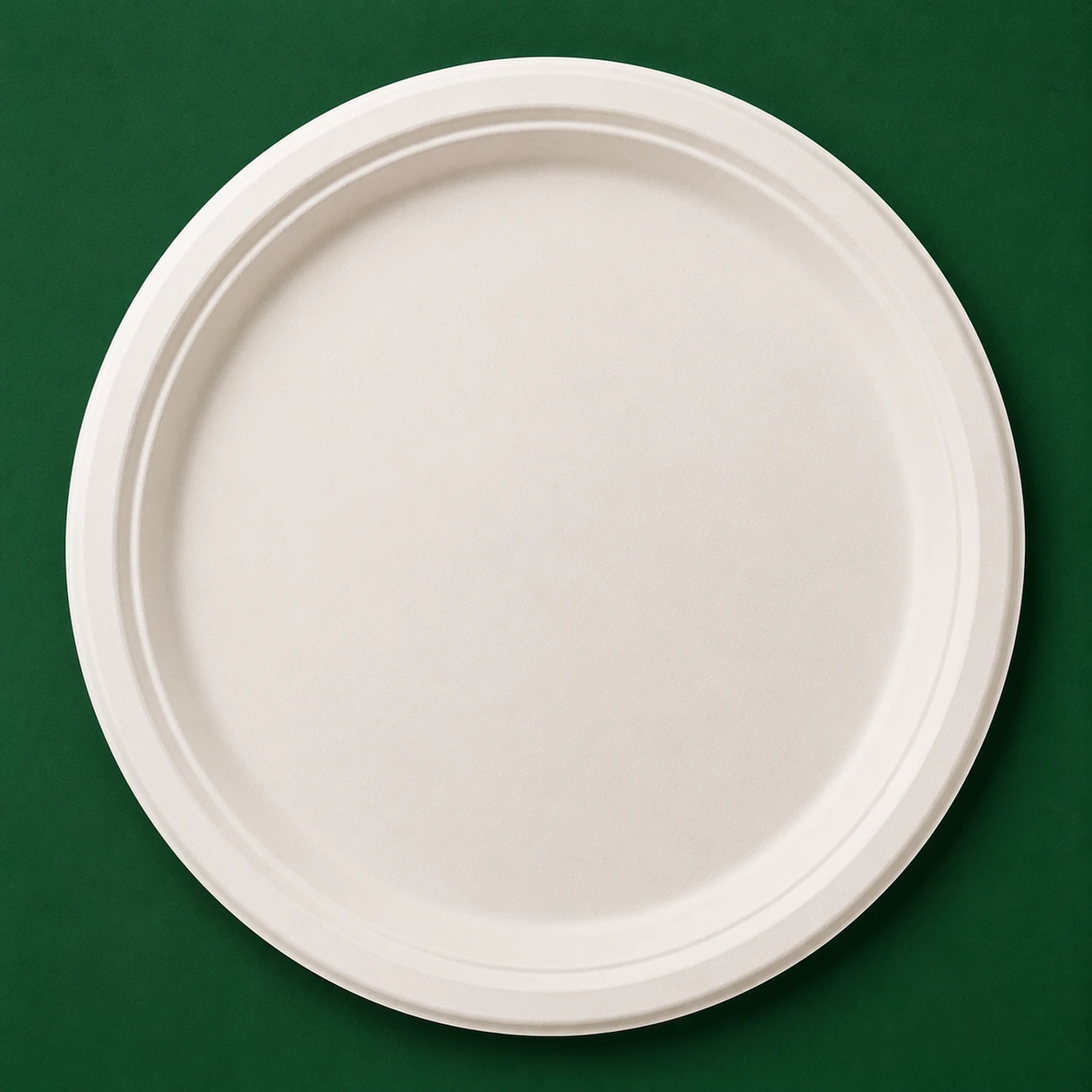 12 Inch Plain Round Plate