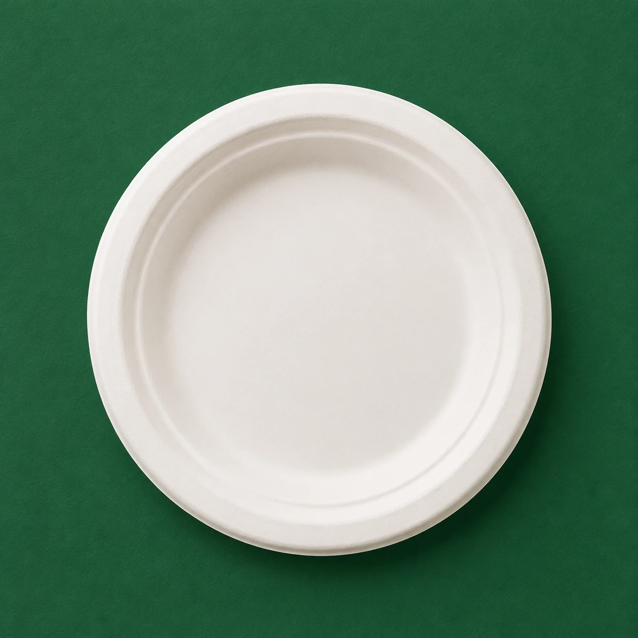 6 Inch Plain Round Plate