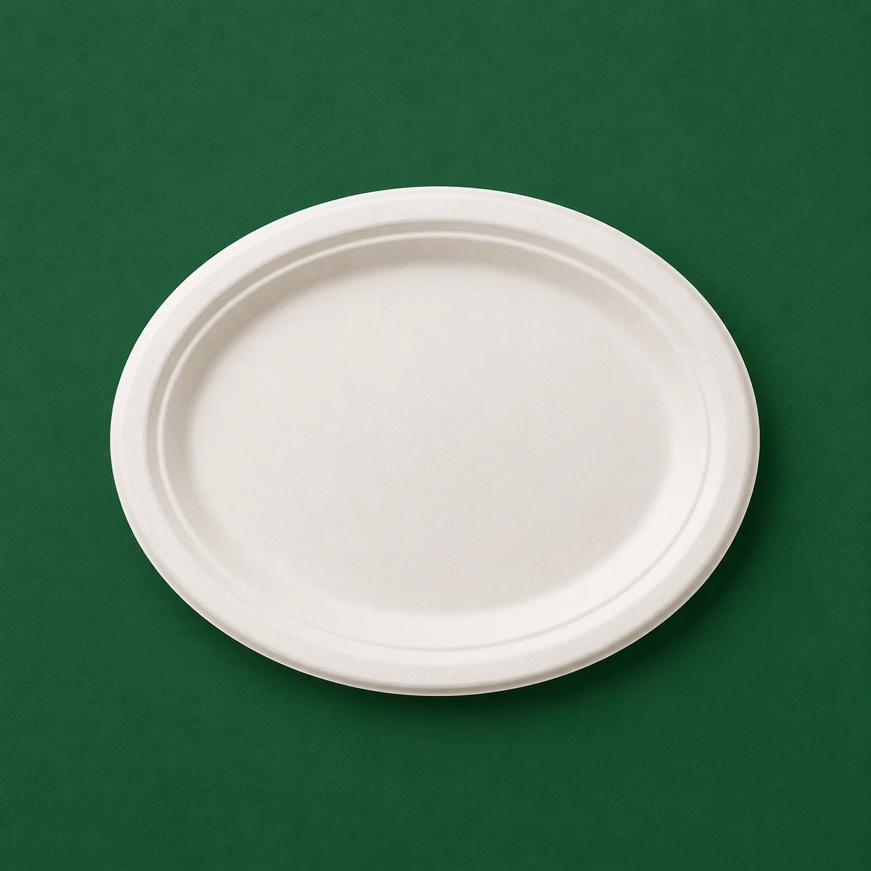 7 Inch Plain Round Plate