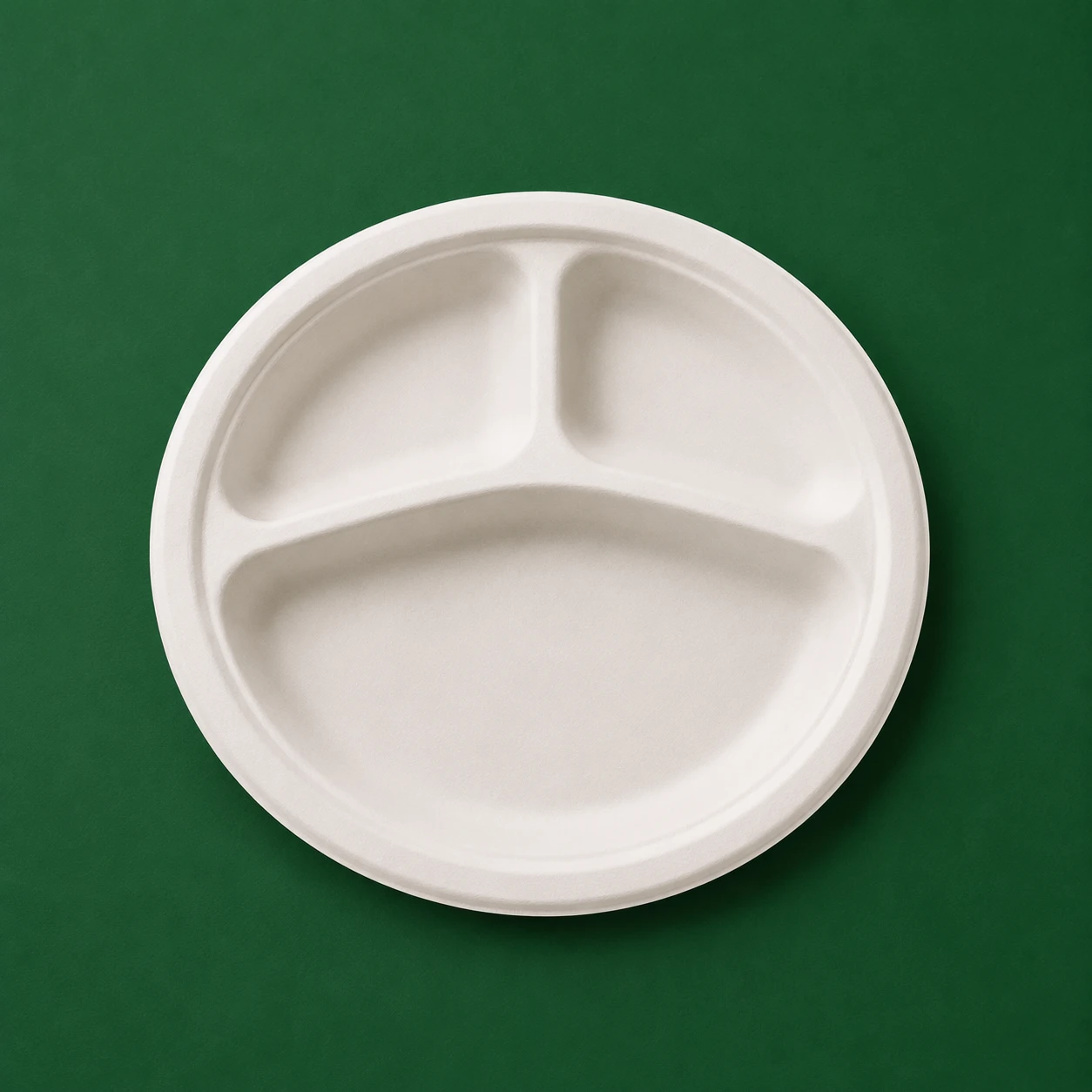 9 Inch 3 Compartment Round Plate