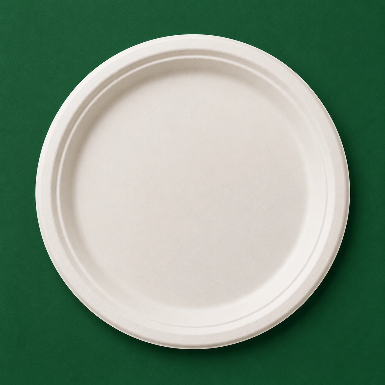 9 Inch Plain Round Plate