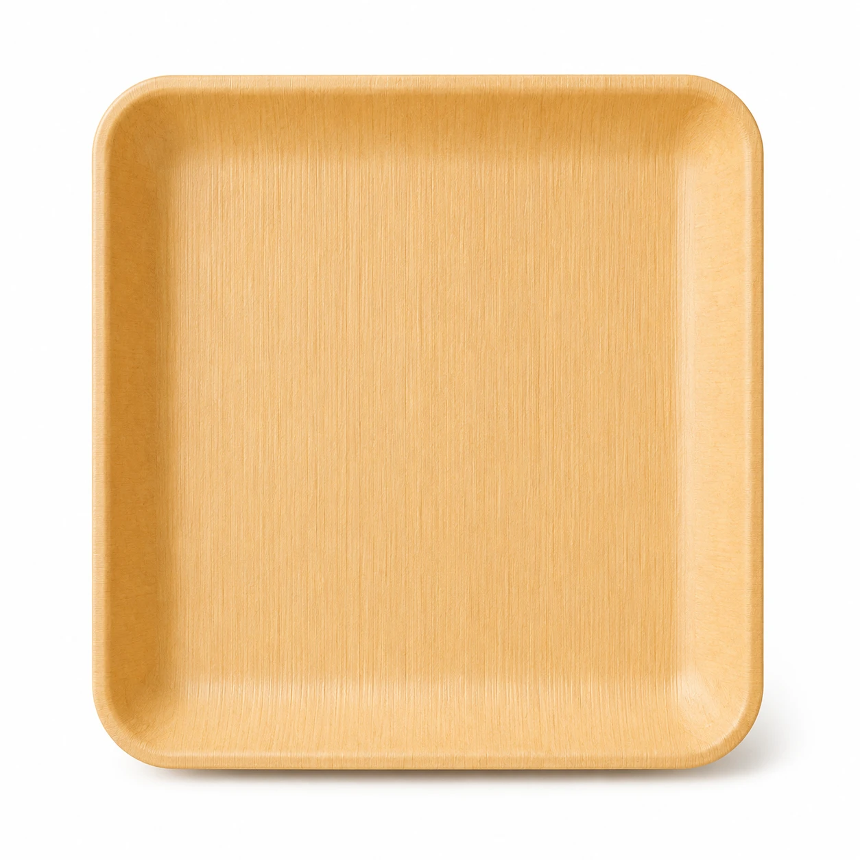 9 Inch Square Plate