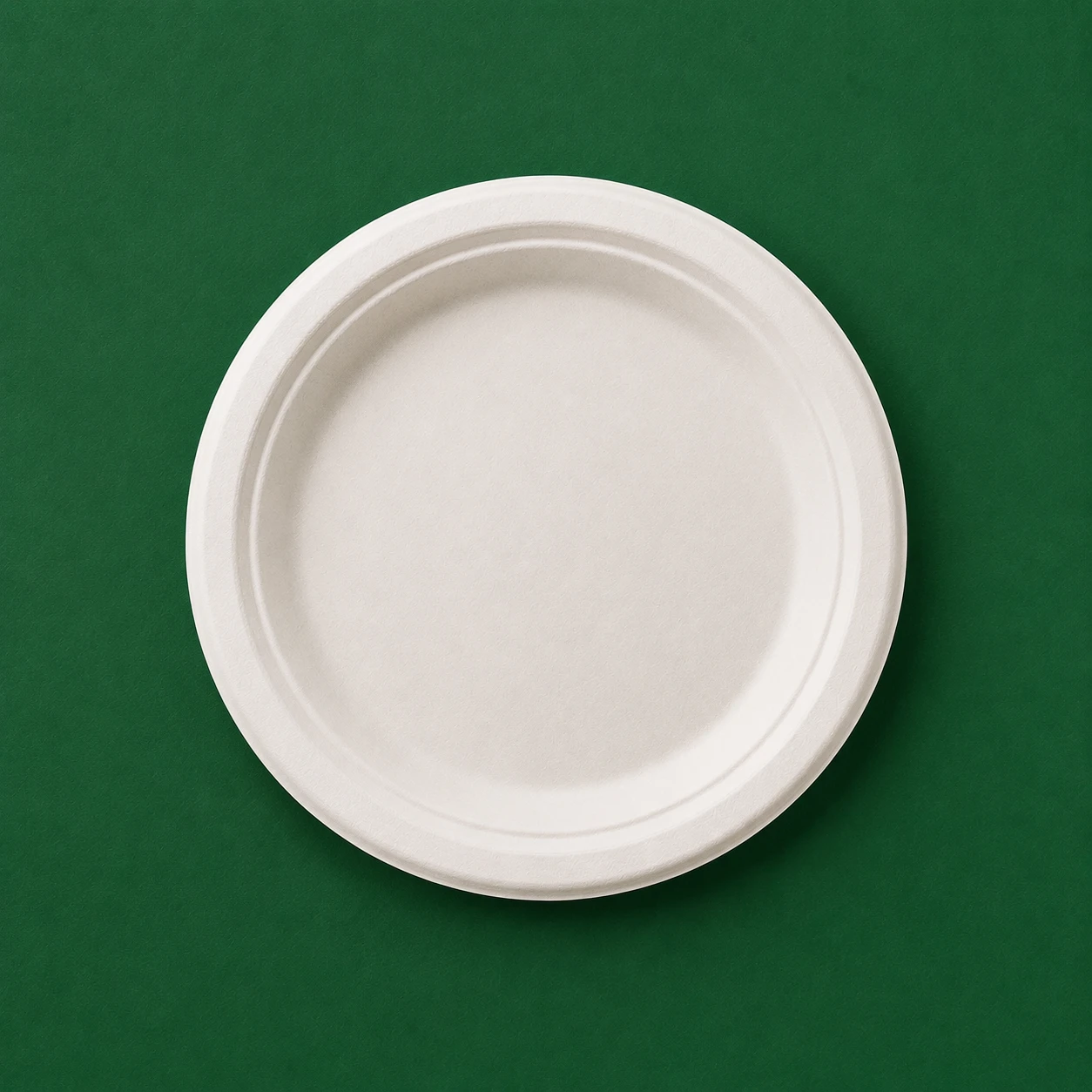 7 Inch Plain Round Plate